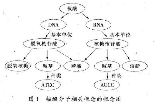 體育教學(xué)模式與方法有哪些