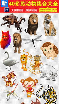 動(dòng)物形象記憶方法有哪些特點(diǎn)