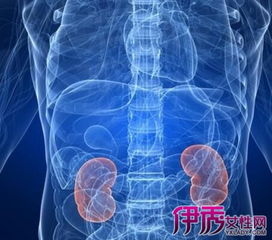 腎炎早期的治療方法有哪些