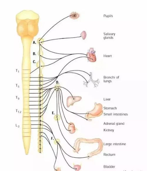 頸椎病有哪些保守治療方法