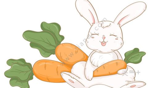 動(dòng)物的避暑方法有哪些簡筆畫