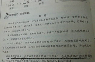 虎鯨這篇短文運(yùn)用了哪些說明方法