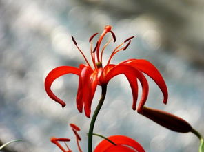 開(kāi)悟方法有哪些