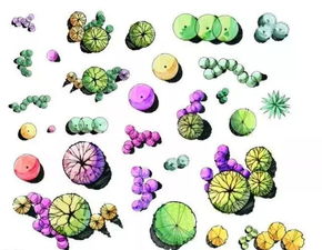 植物設(shè)計(jì)的方法有哪些特點(diǎn)是什么意思