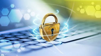 管理風險的四個方法有哪些