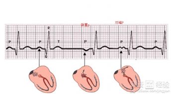 過(guò)性過(guò)程與方法有哪些內(nèi)容