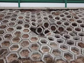 路基坡面防護(hù)的方法有哪些