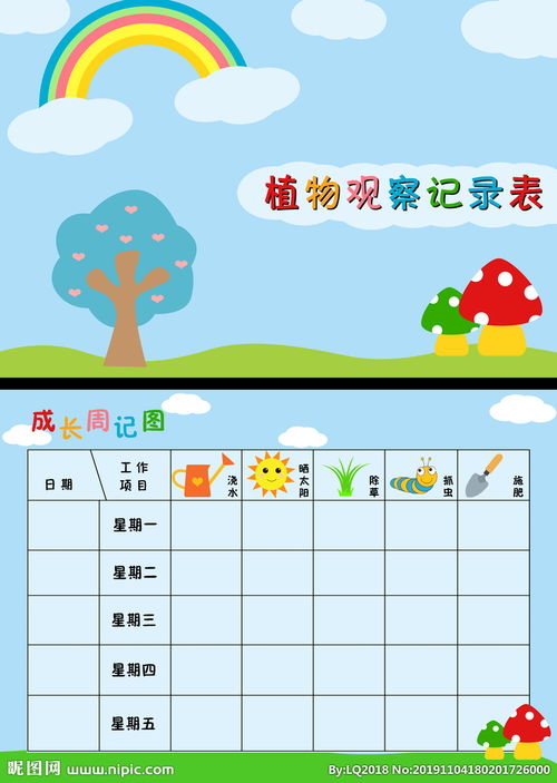 幼兒園觀察植物的方法有哪些