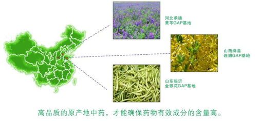 藥物提取方法有哪些