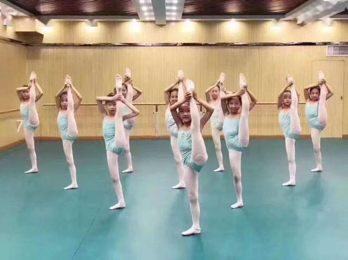 舞蹈老師用的教學(xué)方法有哪些