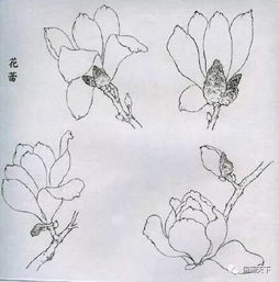 線描畫法有哪些繪畫方法