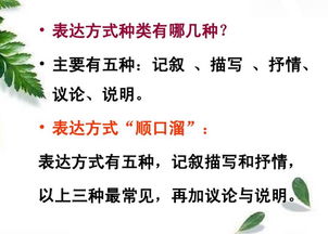 五種基本描寫方法有哪些