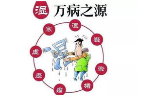 去濕氣的最快的方法有哪些