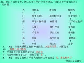 生物的歸類(lèi)方法是什么分別有哪些