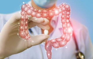 有哪些方法清理腸道