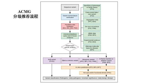 遺傳學上遺傳病診斷方法有哪些