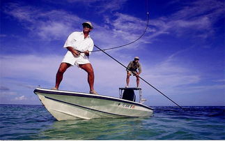 海釣有哪些方法