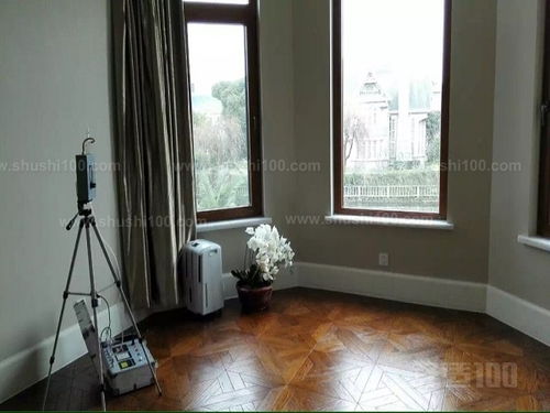 新房子去味都有哪些方法