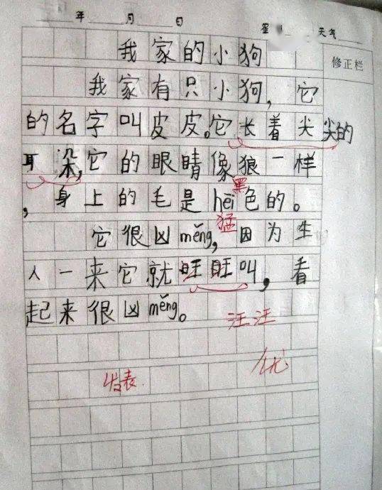 觀察日記有哪些方法