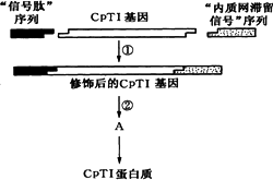 計(jì)量標(biāo)準(zhǔn)的管理方法有哪些