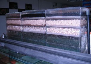 有哪些方法可以過濾