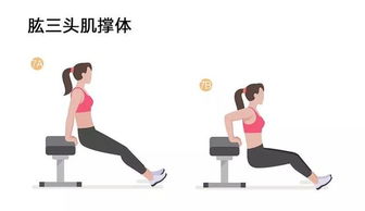 減肥運(yùn)動的訓(xùn)練方法有哪些方法有哪些方法