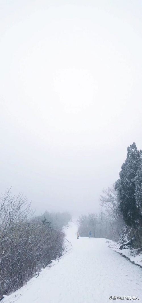 關(guān)于雪路的詩句