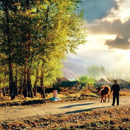 關(guān)于秋天早晨的現(xiàn)代詩句