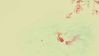 古詩(shī),詩(shī)句,元宵節(jié),簡(jiǎn)單