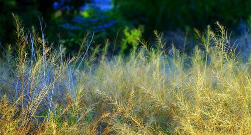 活出自己的古詩句