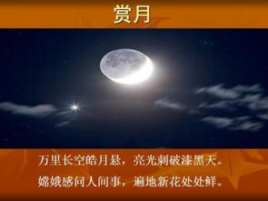 關(guān)于放棄股市的詩(shī)句