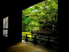 未了,詩(shī)句,詞語(yǔ)