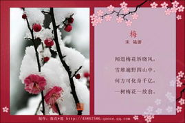 關(guān)于母愛是偉大的詩(shī)句