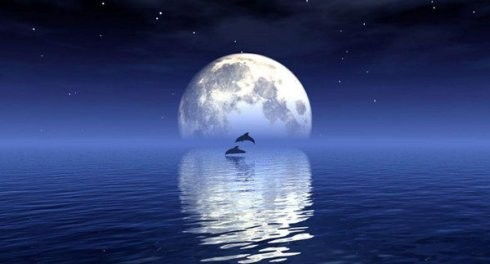 關(guān)于中秋節(jié)思念佳人的詩(shī)句