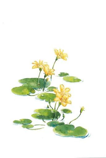 關(guān)于一草的詩(shī)句