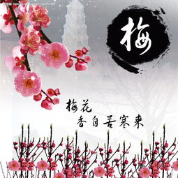 關(guān)于梅花的詩句連續(xù)的兩句