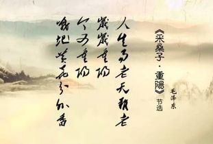 寫(xiě)出兩句關(guān)于節(jié)日的詩(shī)句