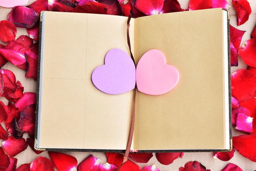 感謝別人請吃飯的詩句,讓別人請吃飯的詩句,邀請別人吃飯的詩句