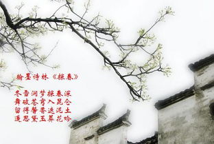 關于春月山的詩句