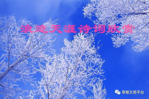 關(guān)于浪跡天涯唯美詩句