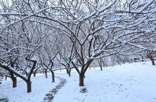 詩(shī)句,清風(fēng)