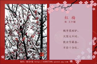 詩(shī)句,包含,小學(xué)