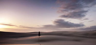 關(guān)于行走在路上的詩句