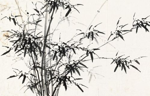 雪竹子的贊美詩句古詩