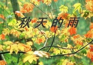 關于秋天雨的詩句古詩