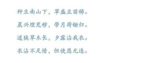 迷茫的古詩句子