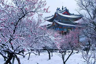 古詩句最后一字講究