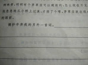 有關(guān)于理想的四字詩句