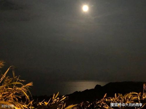 蘇軾關于白露的詩句