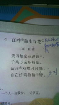 關(guān)于春季和夏季的詩(shī)句